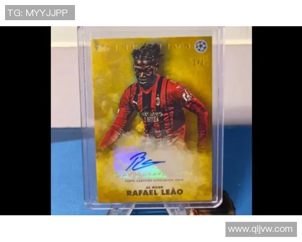 飞猫足球球星卡全解析：收藏价值与未来市场潜力探讨